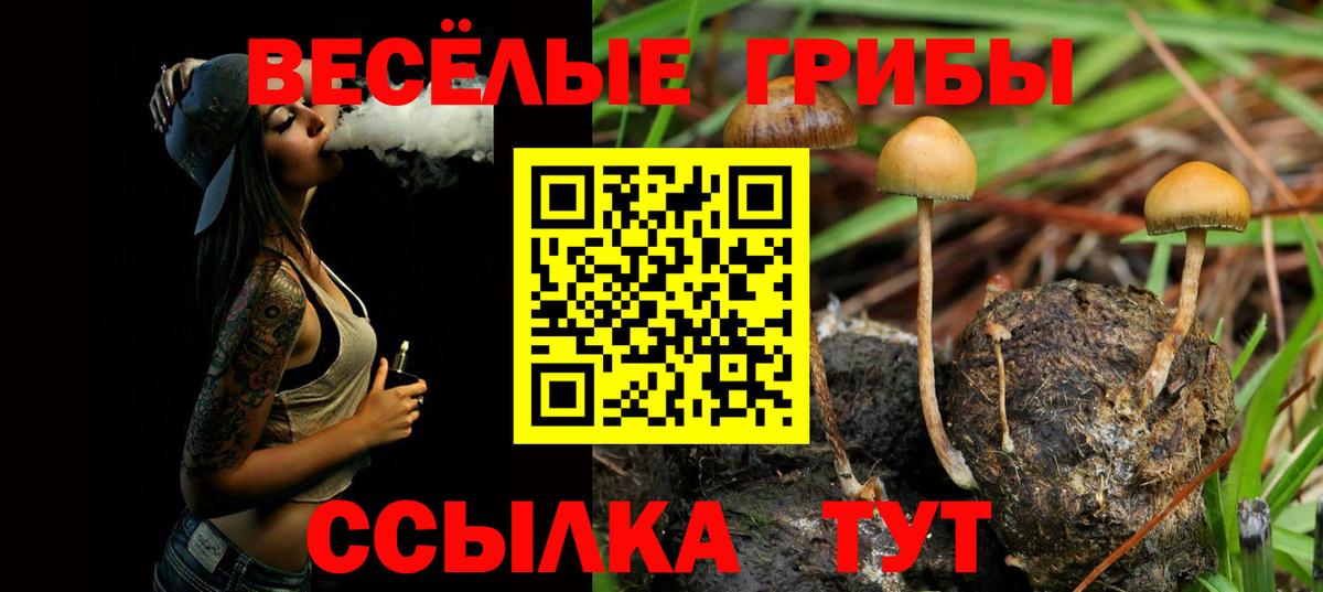 Псилоцибиновые грибы MAGIC MUSHROOMS Тайшет